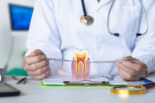 Best Emergency Root Canal Treatment in Icard, NC